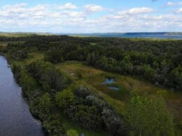 Aerial view of a wooded area on Île-aux-Basques