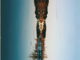 Natural totem pole on the Richelieu River