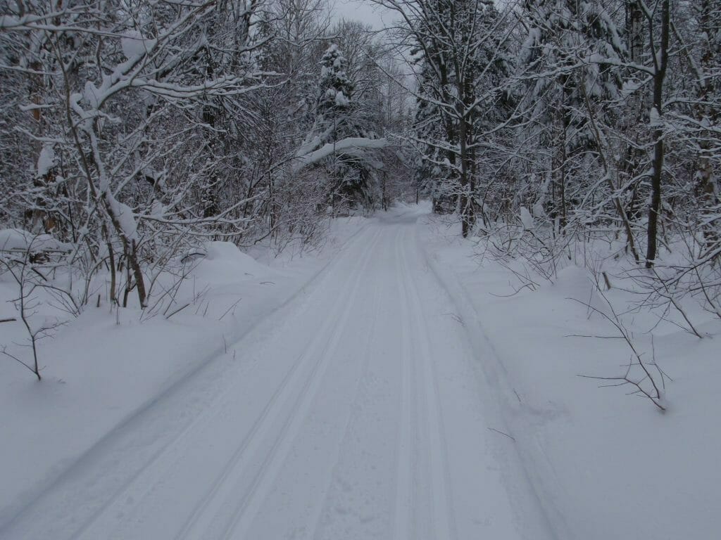La 20 - Cross-country ski trail