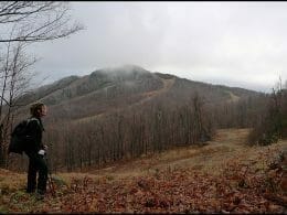 Picture: P1020084 - Parc national du Mont-Orford