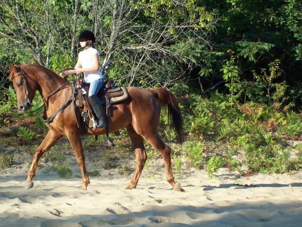 randonnée à cheval