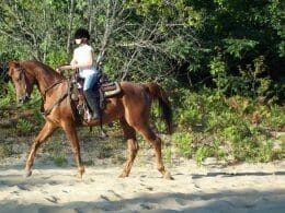 horseback riding