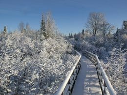 Marais du Nord footbridge