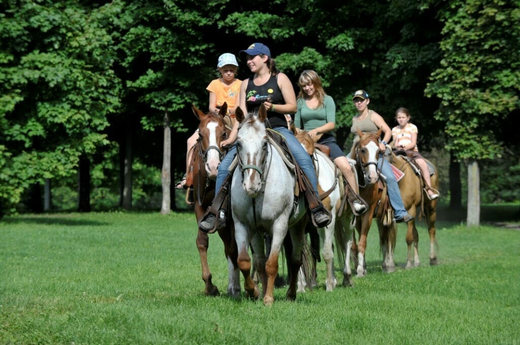 Randonnée à cheval et tour de poney