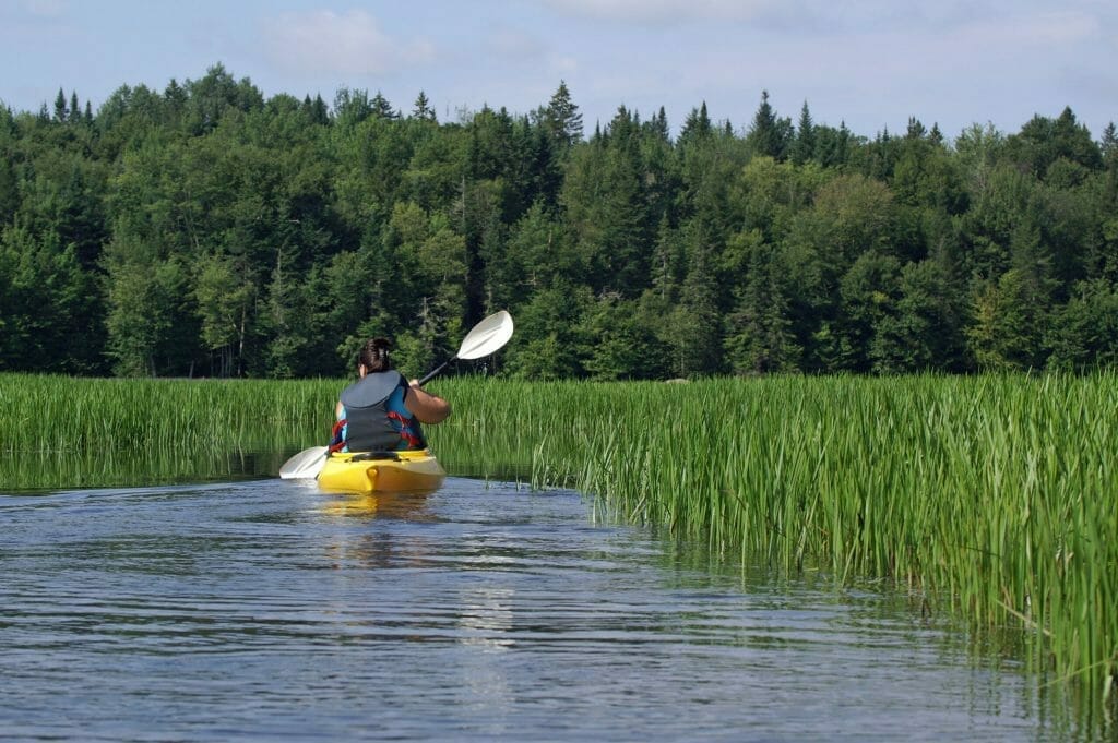 Kayaking in the Marais du Nord