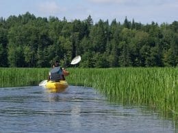 Kayaking in the Marais du Nord
