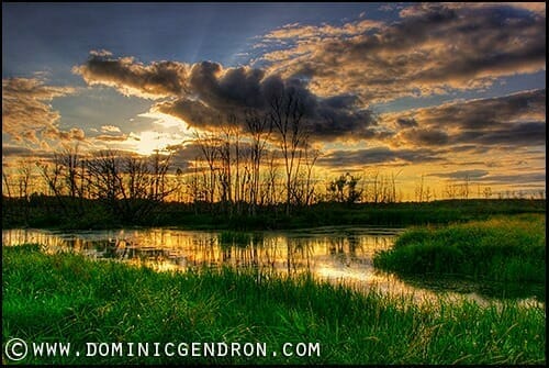 Marais de la petite digue