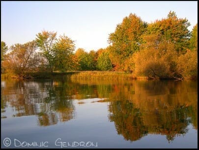 Refuge faunique Marguerite-D'Youville