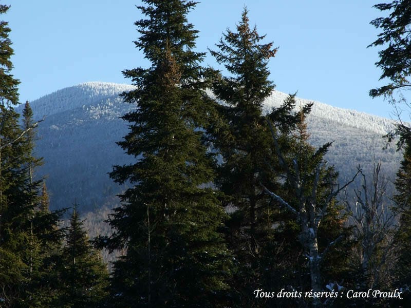 Mont-Gosford viewpoint