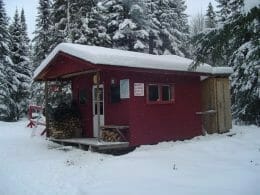 Refuge des mésanges