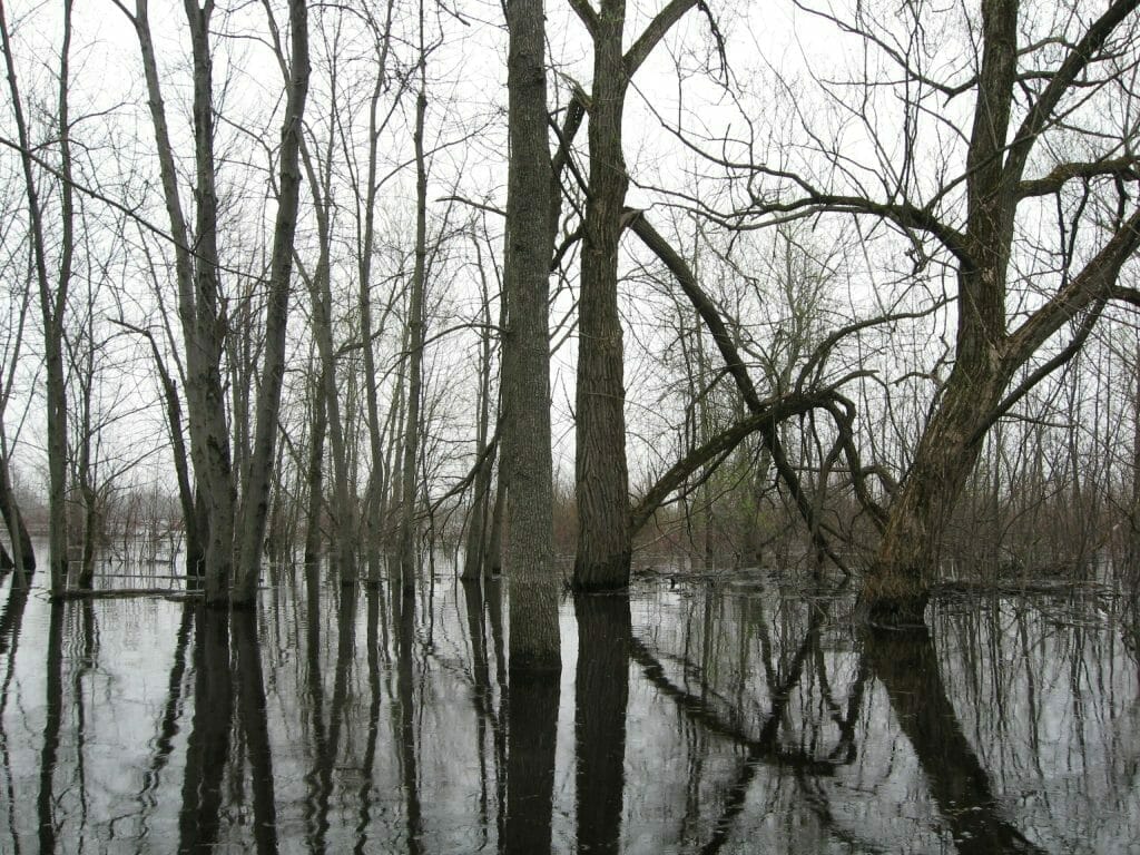 Vallière Bay in spring