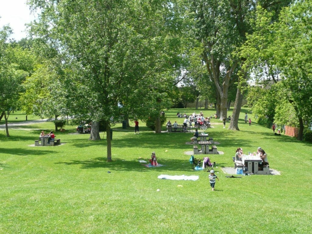 Parc et aire de pique-nique