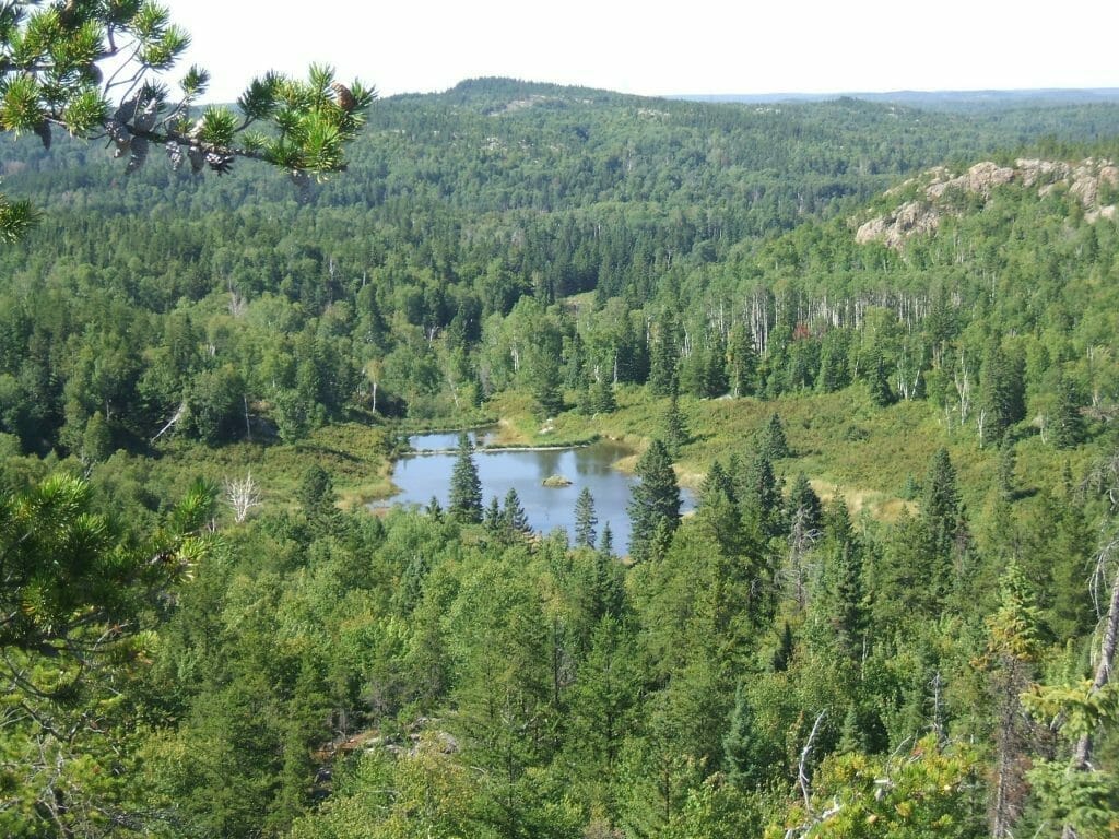 Landscape
