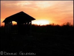 Observation shelters
