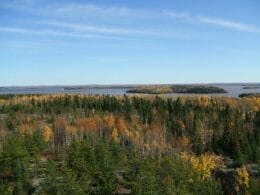 View of Lake Macamic