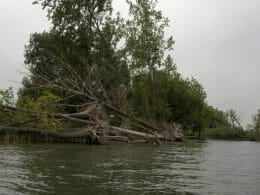 Photos: Érosion - Réserve nationale de faune des îles de la paix