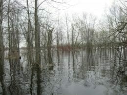 Photos: Baie de la Vallière innondée au printemps - SABL – Maison du Marais