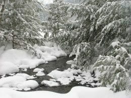 Petit ruisseau se déversant dans le lac Amik