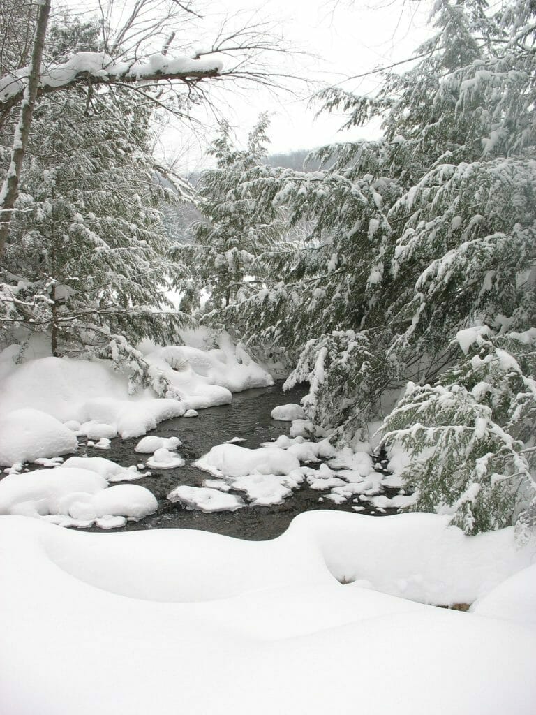Small stream flowing into Amik Lake