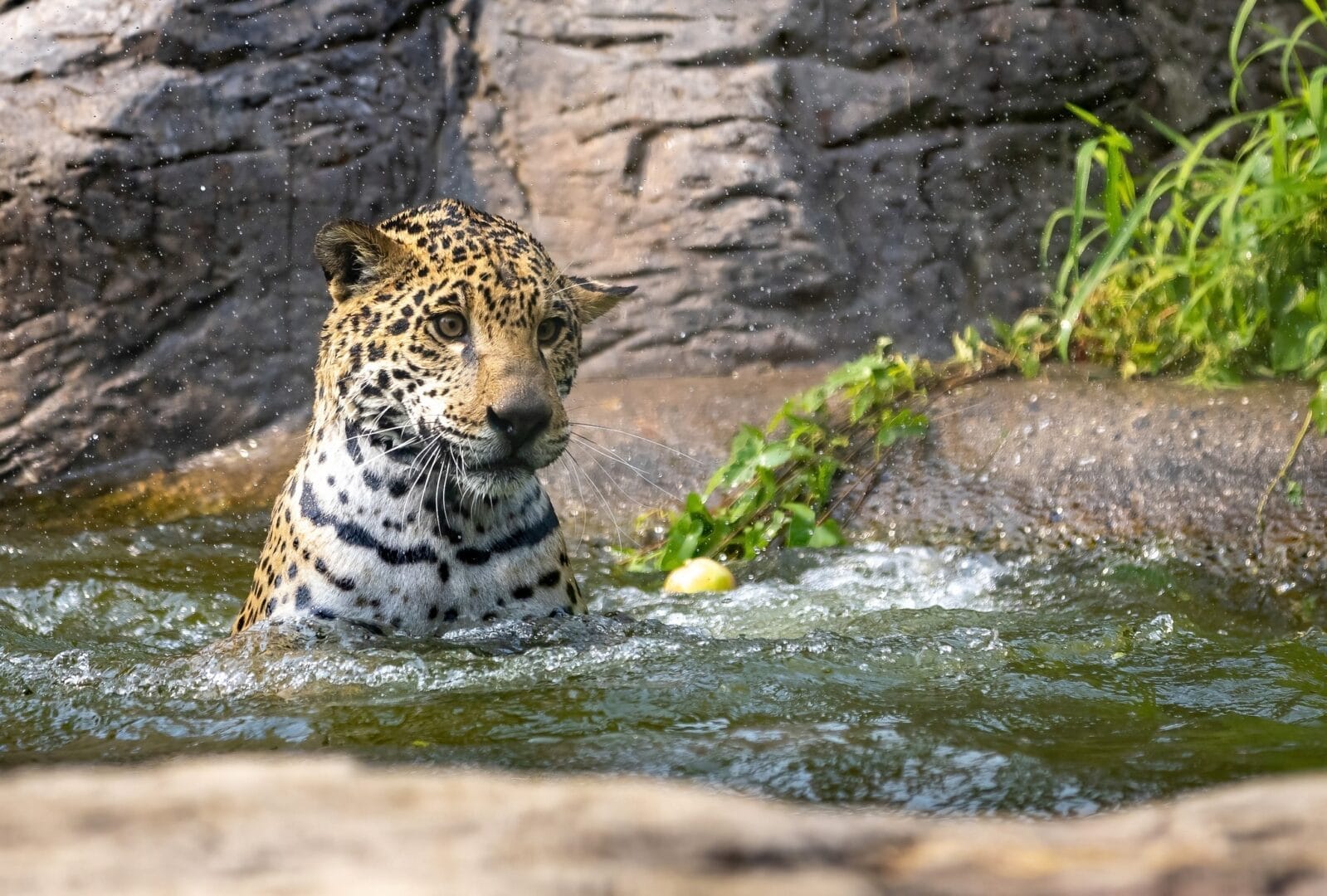 Granby Zoo - Eastern Townships