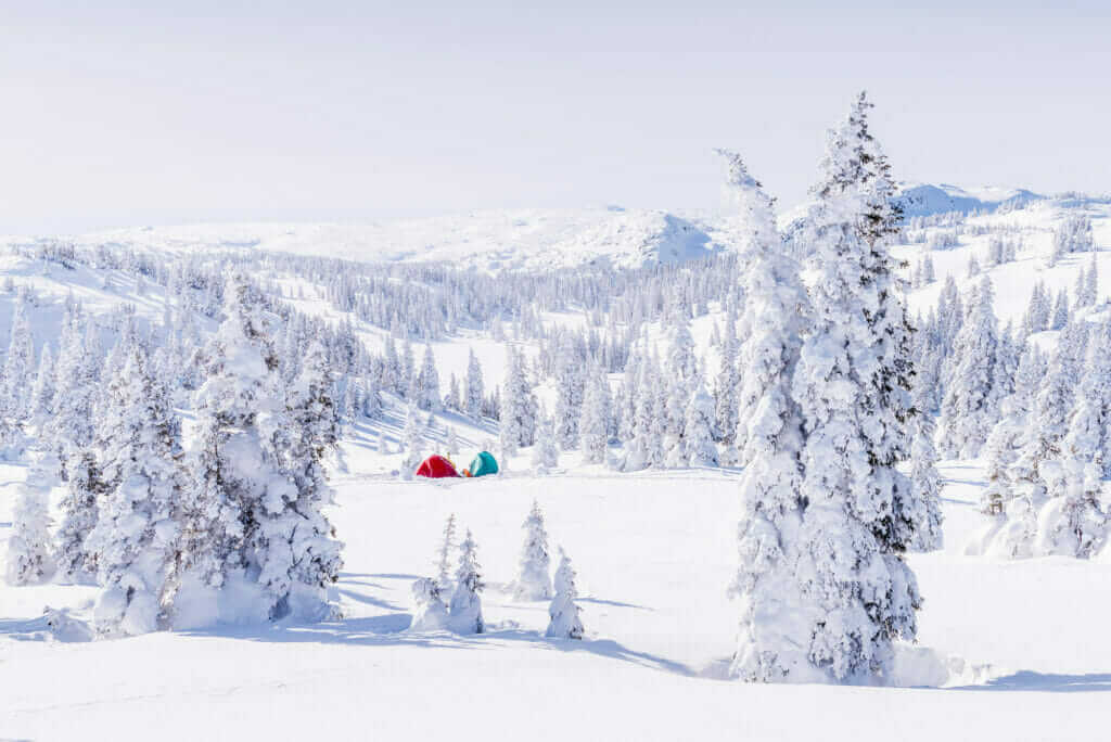 Longue randonnée hivernal aux monts Uapishka