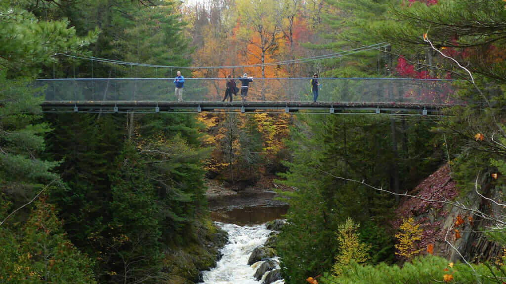 Passerelle de l'Alliance - 7th fall