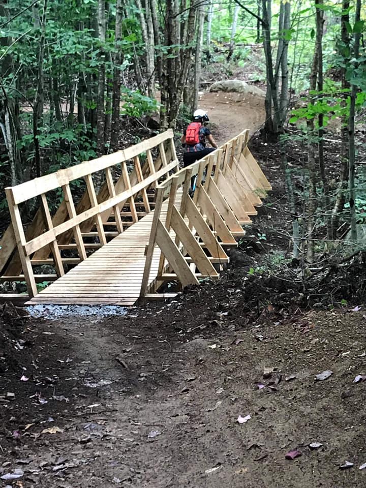 TDCR footbridge in Rawdon