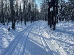 Piste de ski de fond tracée double