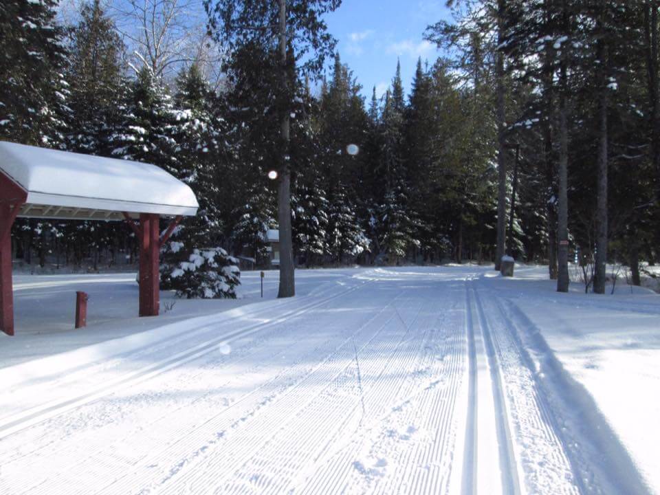 Classic cross-country ski trail and skating step