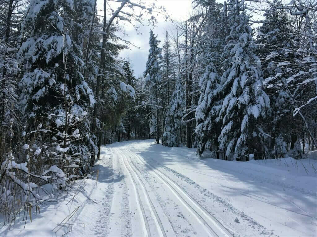 Piste de ski de fond tracée double au parc des Grèves