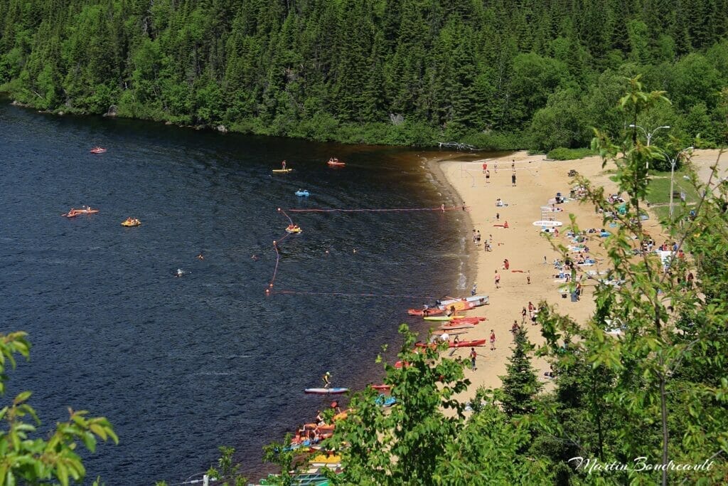 Aerial view of the beach in summer