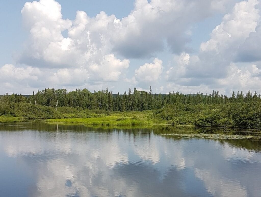 Rivière Noire Nord-Ouest dans le parc des Appalaches