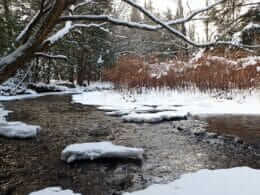 Ruisseau dans la vallée Ruiter