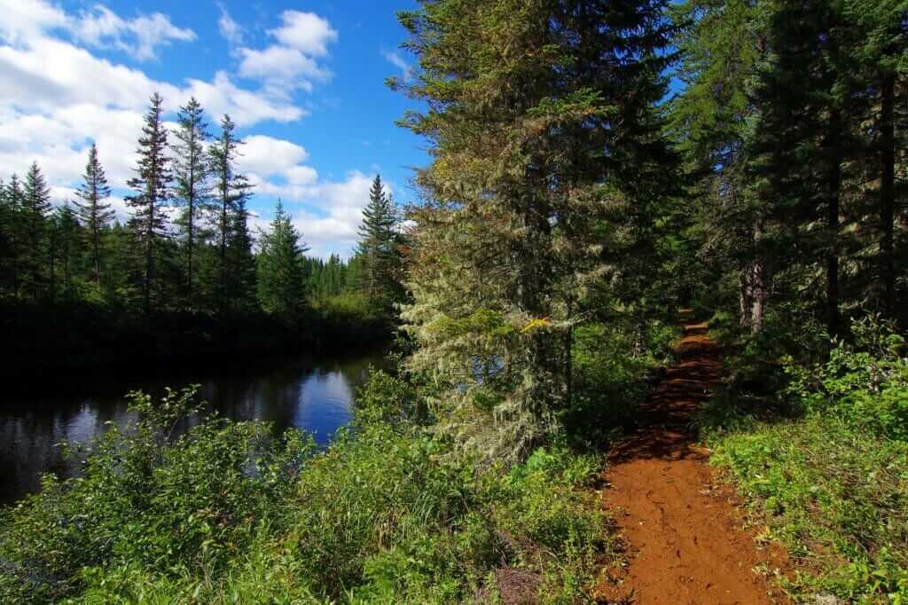 Sentier en bordure de la rivière du Gouffre