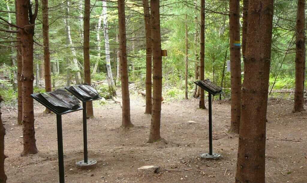 L’œuvre de nombreux poètes sur des lutrins dans le sentier