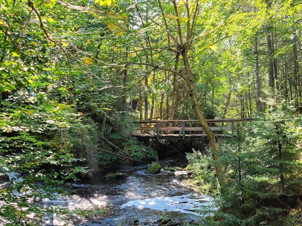 Footbridge on the Chutes-du-lac-Roland trail