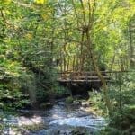 Footbridge on the Chutes-du-lac-Roland trail