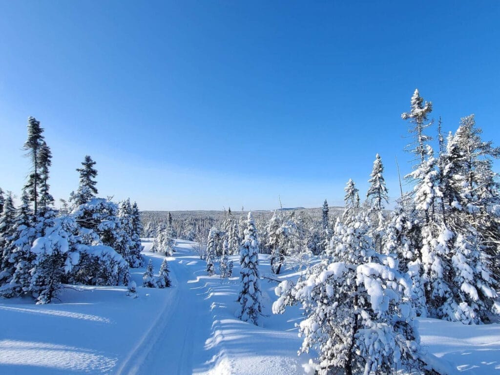 Groomed trail at Skinoramik cross-country ski club
