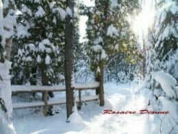 Cultural trail in winter