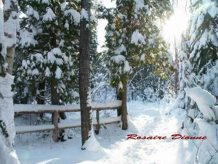 Sentier culturel en hiver