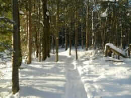 Sentier des Trotteurs in winter