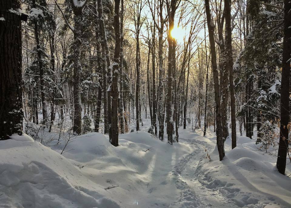 Sentier en hiver au parc de la Coulée à Prévost