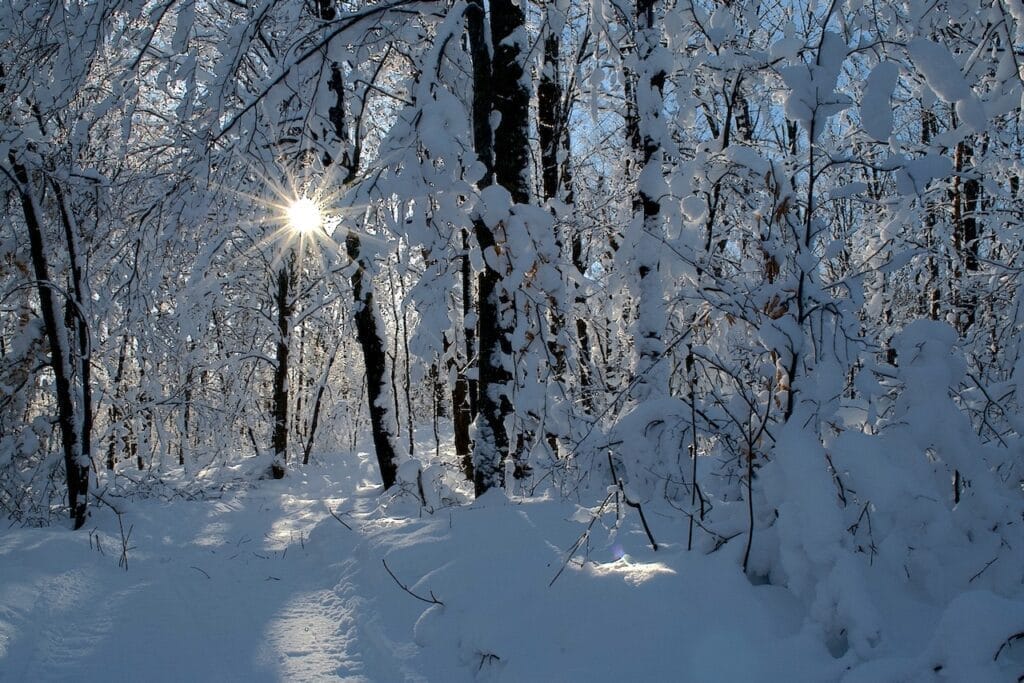 Sentier en hiver dans la municipalité de Lantier