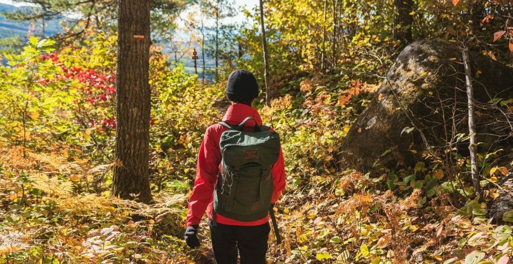 Les Florent trail in autumn