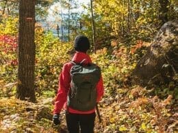 Sentiers Les Florent, Des Pointes et La Rémy