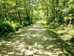 Multi-use trail in Mont-Bellevue Park