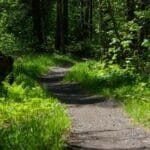 Sentier dans le parc de la Pointe-des-Américains à Alma