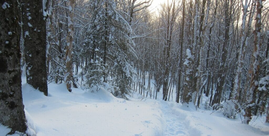 Mont Orignal snowshoe trail in Lac-Etchemin