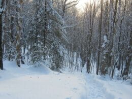 Sentier de raquette au Mont Orignal à Lac-Etchemin