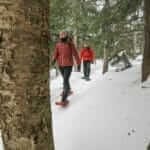 Mont-Bellevue snowshoe trail